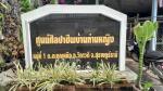ศึกษาดูงานการทอผ้า